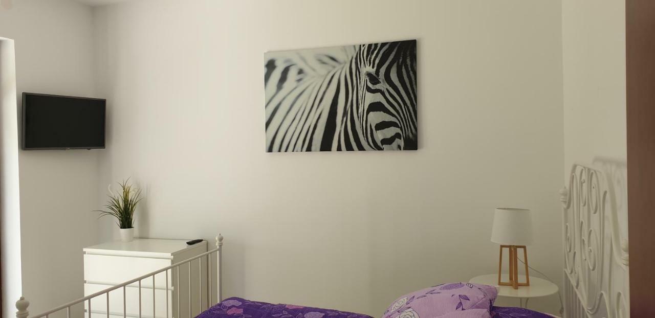 Apartamenty Wisełka Екстериор снимка